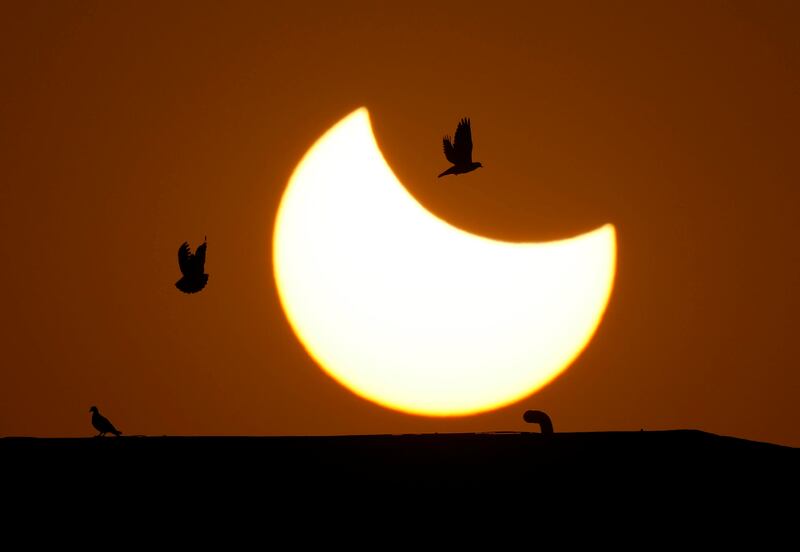 Pigeons fly past a partial solar eclipse in Ahmedabad. AP