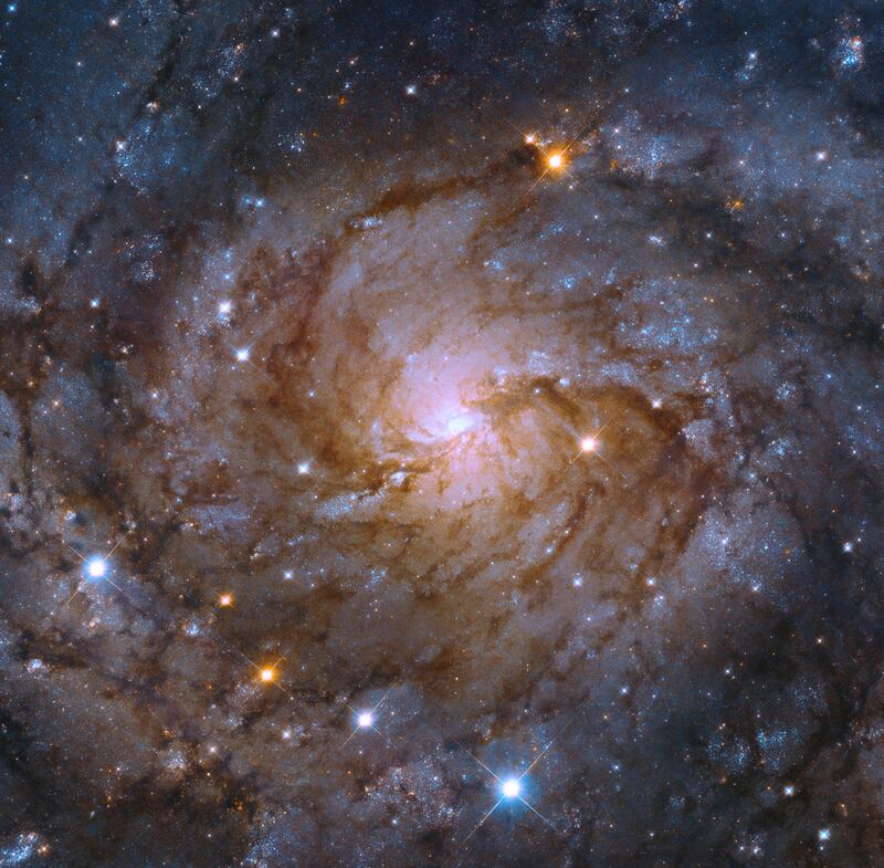 The Hubble telescope took a picture of a galaxy hidden behind the Milky Way. The spiral galaxy, IC 342, is about 11 million light years from Earth. Photo: Nasa / European Space Agency
