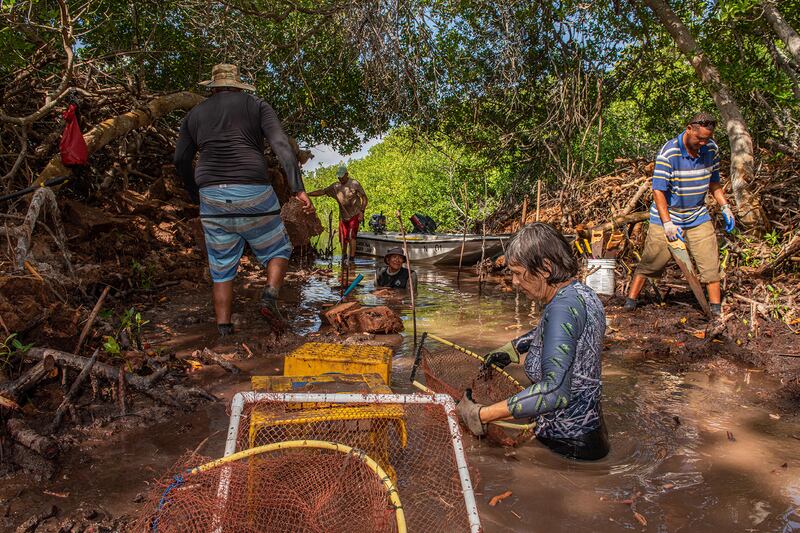 Winner, Mangroves & Stories, Lorenzo Mittiga, Netherlands Antilles. Photo: Lorenzo Mittiga / Mangrove Photography Awards