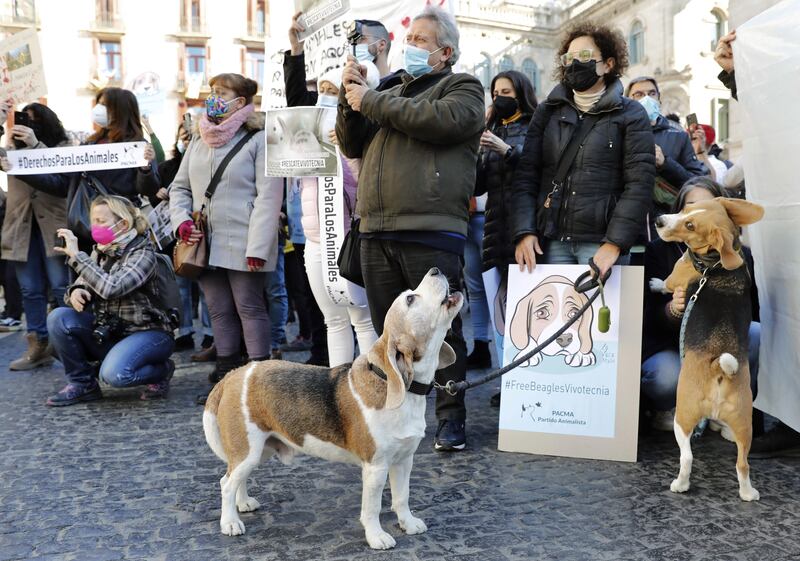 The protesters in Barcelona took along their own pups. EPA