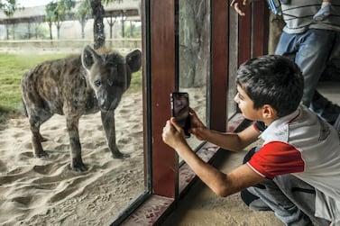 Dubai Safari Park closed in May 2018, only five months after opening, so improvement works could be carried out. The National