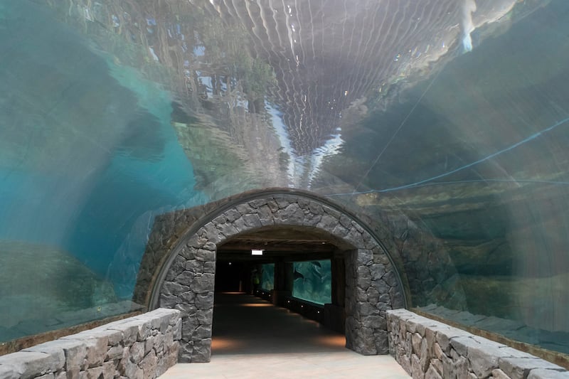 A water tunnel in the Tropical Ocean zone