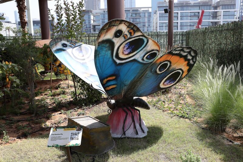 Some of the species visitors can get more information about include the owl butterfly