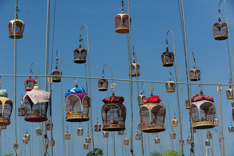 Rows upon rows of birdcages are hung during the event. AFP