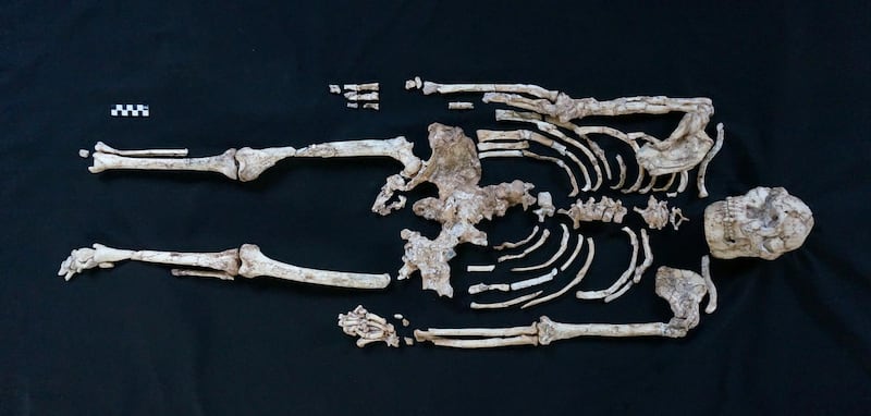 The skeleton of Little Foot is seen in Sterkfontein, South Africa, in this undated handout photo, obtained by Reuters on March 1, 2021. RJ Clarke/Handout via REUTERS ATTENTION EDITORS - THIS IMAGE HAS BEEN SUPPLIED BY A THIRD PARTY. NO RESALES. NO ARCHIVES. MANDATORY CREDIT
