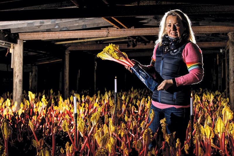 Annabel Makin-Jones in one of her forced rhubarb sheds in Wakefield, Yorkshire. Courtesy Annabel's Deliciously British
