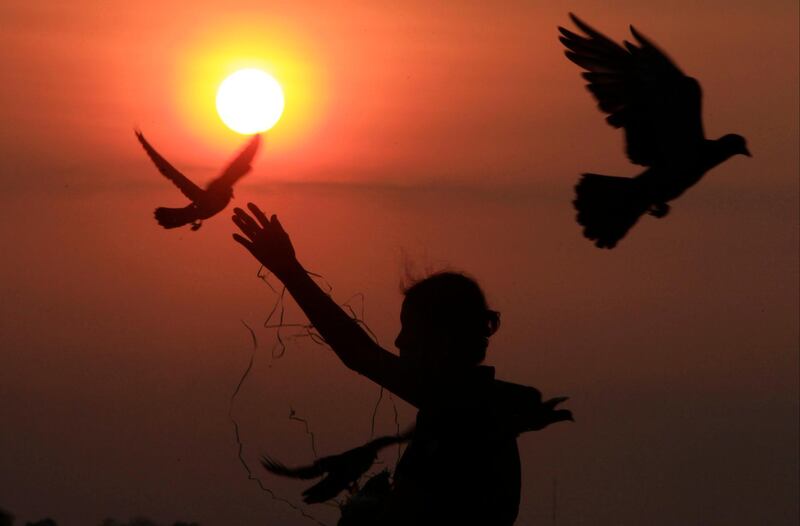 A woman feeds the birds in front of the Royal Palace, in Phnom Penh, Cambodia. AP Photo