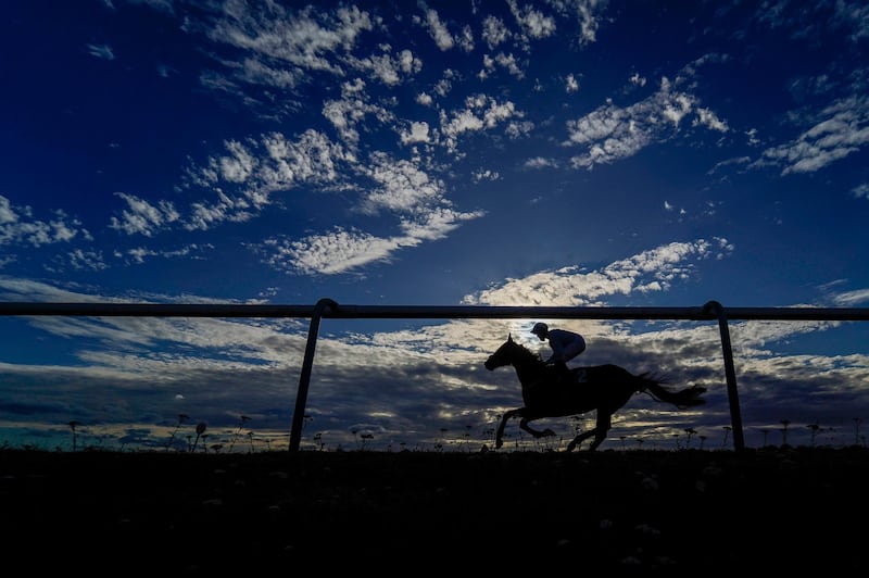 Runners make their way to the start in The Play 4 To Win At Betway Handicap Division one at Lingfield Park Racecourse in Surrey on Wednesday, August 5. PA