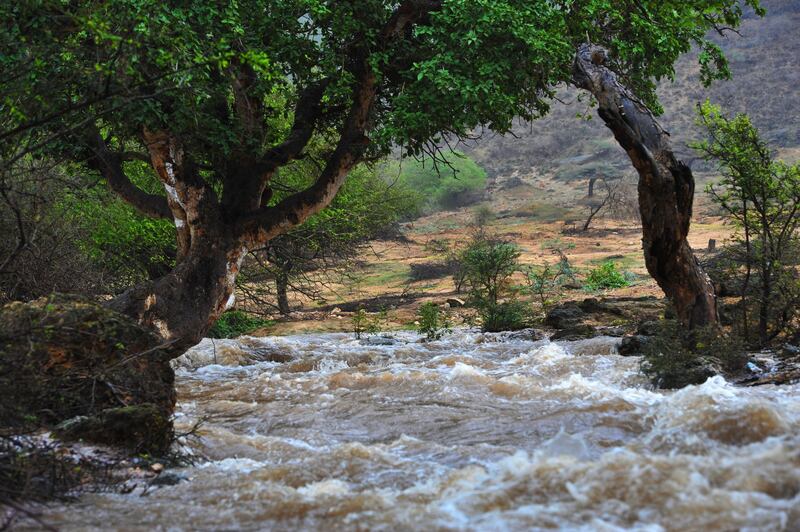 Officials said that lives could be lost if motorists attempted to drive across flooded wadis