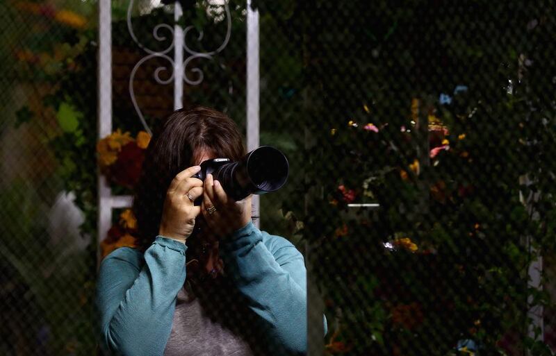 A visitor takes to the Dubai Butterfly Garden snaps a picture. Francois Nel / Getty Images