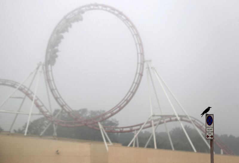 Dubai, United Arab Emirates - Reporter: N/A: Weather. A crow sits in the fog in front of a model roller coster in Dubai Land. Thursday, April 2nd, 2020. Dubai. Chris Whiteoak / The National