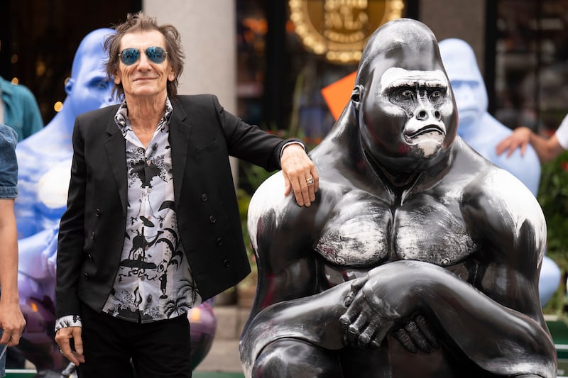 English rock musician Ronnie Wood, best known as an official member of the Rolling Stones, poses next to his Gorilla at the launch of the Tusk Gorilla Trail in Covent Garden, London, Thursday, July 13, 2023.  The trail includes fifteen sculptures with designs by artists including Ronnie and Sally Wood, Rankin, Chila Burman, Adam Dant, Barnaby Barford, Jemma Powell, Hannah Shergold and Nick Gentry.  (James Manning / PA via AP)