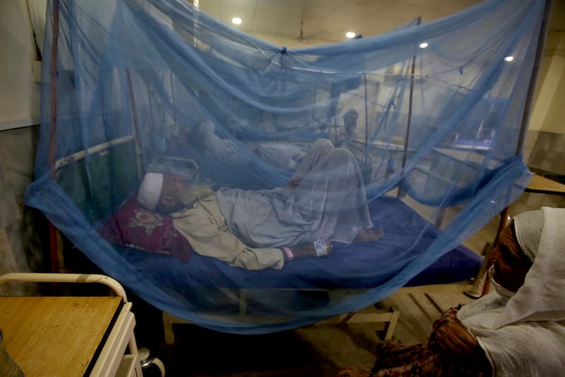 Flooded areas have become infested with diseases including malaria, dengue fever, diarrhoea and skin problems, the southern Sindh provincial government says. AP