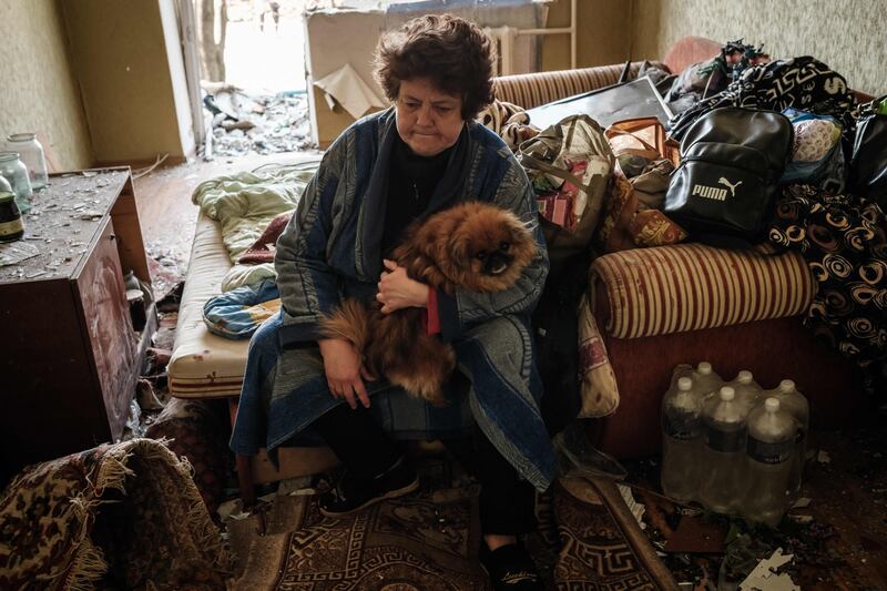 A dog provides company at a flat damaged by a missile attack in Kramatorsk, eastern Ukraine. AFP