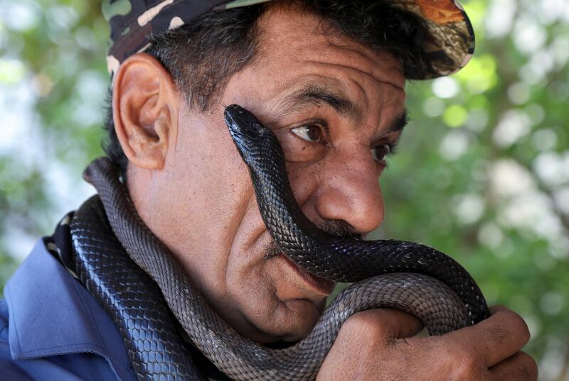 Snake hunter Yaseen Al Sqour carries a reptile in Balqa, Jordan. All photos: Reuters