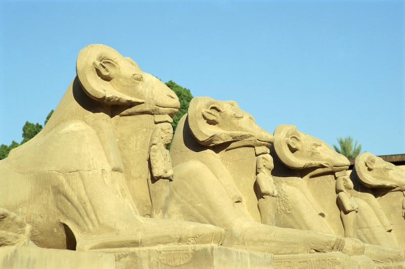 The sphinx-like statues with ram's heads and lion's bodies at the Karnak Temple Complex in Luxor, Egypt. Getty Images