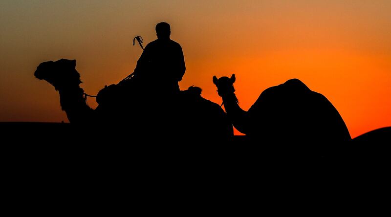 The race was organised by the Hamdan Bin Mohammed Heritage Centre in conjunction with the Arabian Camel Festival.