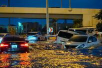 Do insurance policies cover rain damage and business interruption?