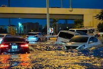 Do insurance policies cover rain damage and business interruption?