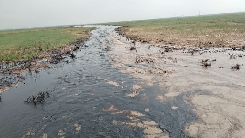 Since 2014, crude oil from Alas and Ajeel fields in the Hamrin mountains in northern Iraq is seeping into the soil through cracks and is carried by rainwater to agricultural lands in Al Alam area. Photo: Ahmed Abdullah Al Shalash
