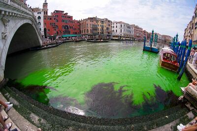 A picture taken with a fisheye lens shows a patch of phosphorescent green in the Grand Canal. EPA