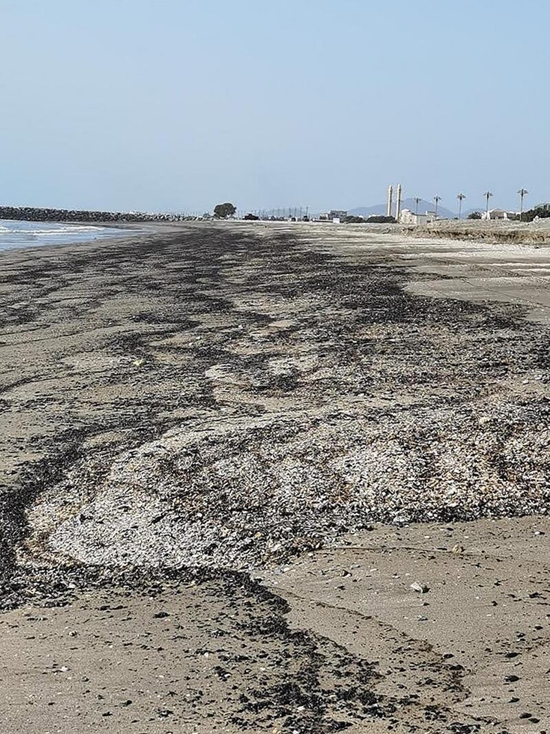 Oil washes up at Kalba beach in Sharjah on Sunday. The slick stretches across three kilometres of the UAE’s east coast. Hisn Kalba Instagram