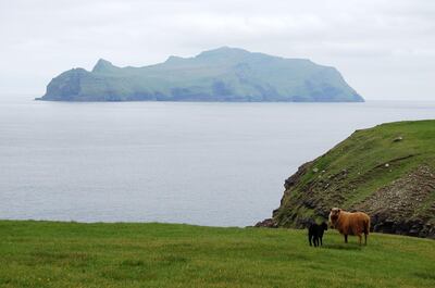 A picture taken on June 6, 2018, shows sheep in a field near the village of Gasadalur in Vagar, one of the Faroe Islands located between the North Atlantic Ocean and Norwegian Sea.  Located more than 1,100 kilometres (more than 680 miles) northwest of powerhouse Copenhagen, the Faroe Islands have since 1948 had their own white, blue and red flag with an offset cross, their own language originating from the Viking's Old Norse and institutions and culture.  / AFP / Pierre-Henry DESHAYES

