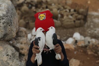 Khalid Abu Khalifa, 9, holds a pair of pigeons while playing amid the ancient ruins of Babisqa. 