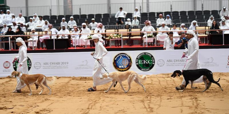 The event is organised by the Abu Dhabi International Hunting and Equestrian Exhibition (Adihex) and the Arabian Saluki Centre.