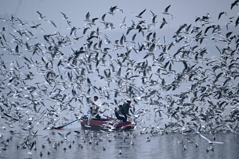 People take a boat ride on the Yamuna River to feed seagulls on a cold, foggy morning in New Delhi, India. AFP