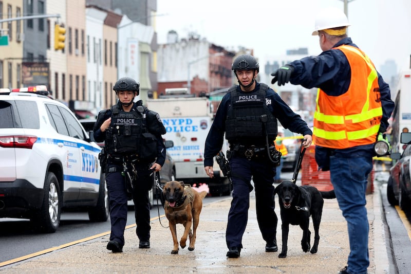 Sniffer dogs at the station. AP