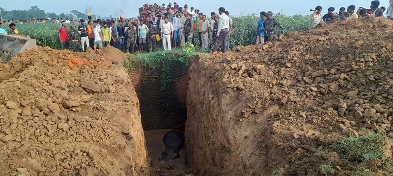Rescue workers had to dig a ditch into the wide well where the elephant had fallen during the night.