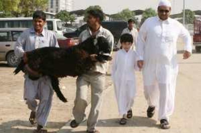 DUBAI, UNITED ARAB EMIRATES - DECEMBER 5:  Faisal Alzahrni, 8 years, and his father Nassar (right), from Saudi Arabia, with their sheep purchased for Eid at the cattle and livestock market in Dubai on December 5, 2008. Over the Eid holiday families purchase a live animal which is then taken to be slaughtered with one third of the animal going to the family, the other third to friends and relatives and the last third given as a charitable donation.  (Randi Sokoloff / The National)  For OASIS Eid page. *** Local Caption ***  RS008-1205-EID.jpgRS008-1205-EID.jpg