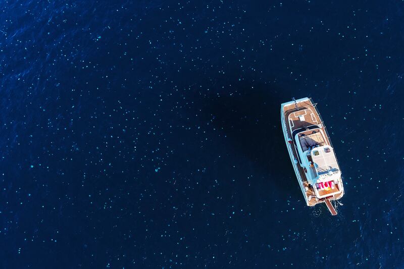 Jellyfish swarm around a boat near the coast of Haifa it the Mediterranean Sea, Israel. Reuters