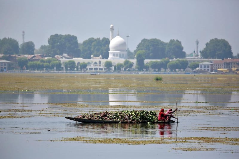Women in canoes collect weeds on Dal lake in Srinagar as the city remains under curfew following weeks of violence in Kashmir. Cathal McNaughton / Reuters