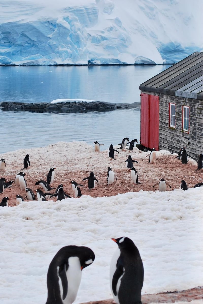 Princess Abeer visited the "penguin post office" on Goudier Island in the Antarctic, which is widely regarded to be the world's remotest post office. Photo: Heidi Victoria