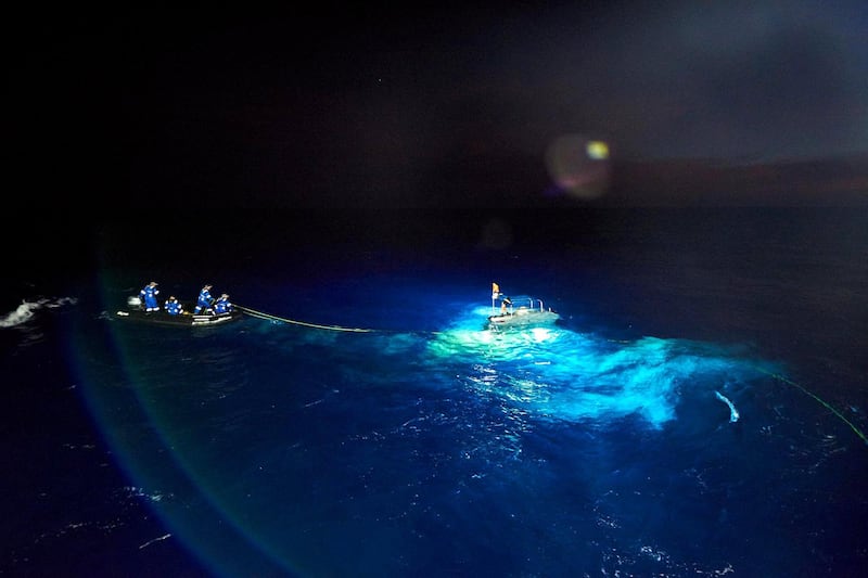 A night dive on the Pacific Ocean.  Courtesy: The Five Deeps Expedition