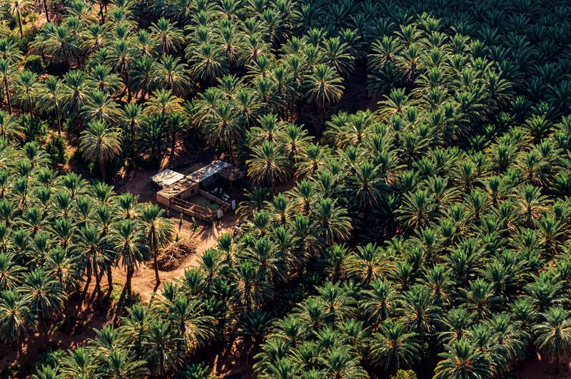 Quaint haven among rows of palms. Photo: Royal Commission for AlUla