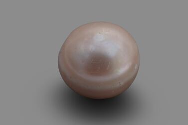 The oldest natural pearl in the world is less than a centimetre long. Courtesy Department of Culture and Tourism Abu Dhabi 