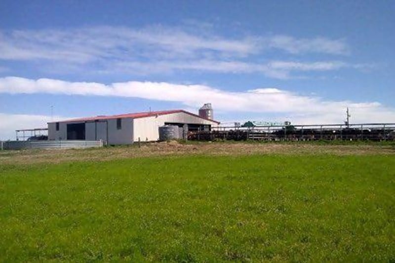 San Pedro Dairy Farm comes complete with 1,000 cows. Courtesy Savills