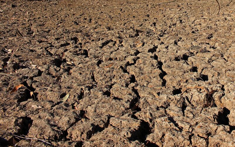 A view of cracked earth due to drought at a small water reservoir in Armidale. Reuters