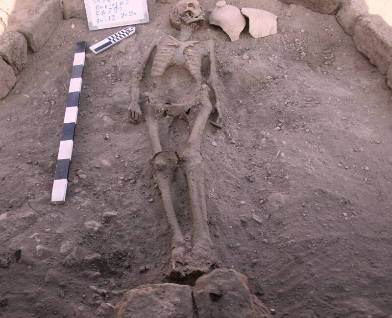 A skeletal human remain is seen in Luxor, Egypt, in this undated handout photo. Zahi Hawass Center for Egyptology and High Council of Antiquities Joint Mission/Handout via REUTERS ATTENTION EDITORS - THIS IMAGE WAS PROVIDED BY A THIRD PARTY. MANDATORY CREDIT. NO RESALES. NO ARCHIVES