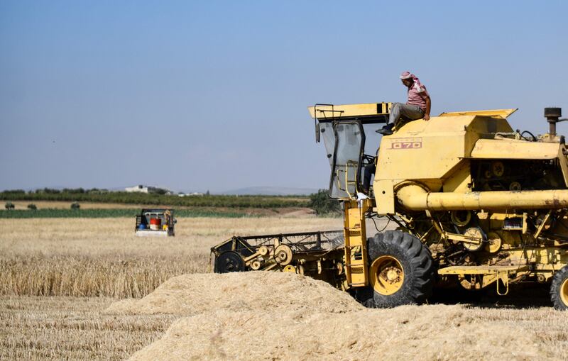 A farmer harvests wheat with a combine machine.