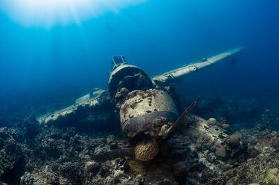 A downed World War II aircraft in the waters around Palau, attracts adventurous scuba-divers. Unsplash
