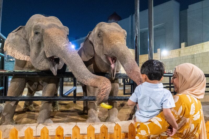 Emirates Park Zoo is offering an iftar with the elephants experience.