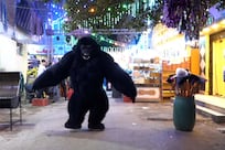 Why dancers in giant gorilla costumes in Egypt are going viral