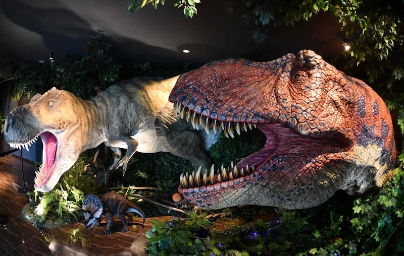 Models of Tyrannosaurus dinosaurs are displayed at the entrance of the Henn-na Hotel.  AFP