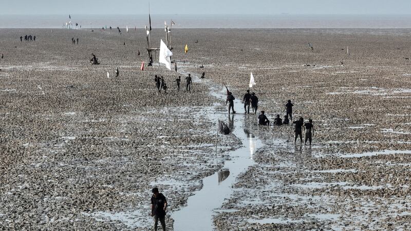 Shi'ite Muslim pilgrims walk along a muddy shore on the Gulf to the holy city of Kerbala. 