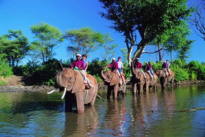 Handout: Elephant back ride on the Zambezi River, Zimbabwe (Courtesy Original Travel)