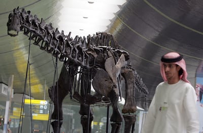 A 140-million-year-old dinosaur at Abu Dhabi International Airport. AFP